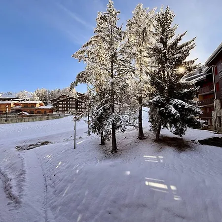 Duplex 6 Pers, Centre Station, Parking, Animaux Ok - Fr-1-353-53 La Plagne